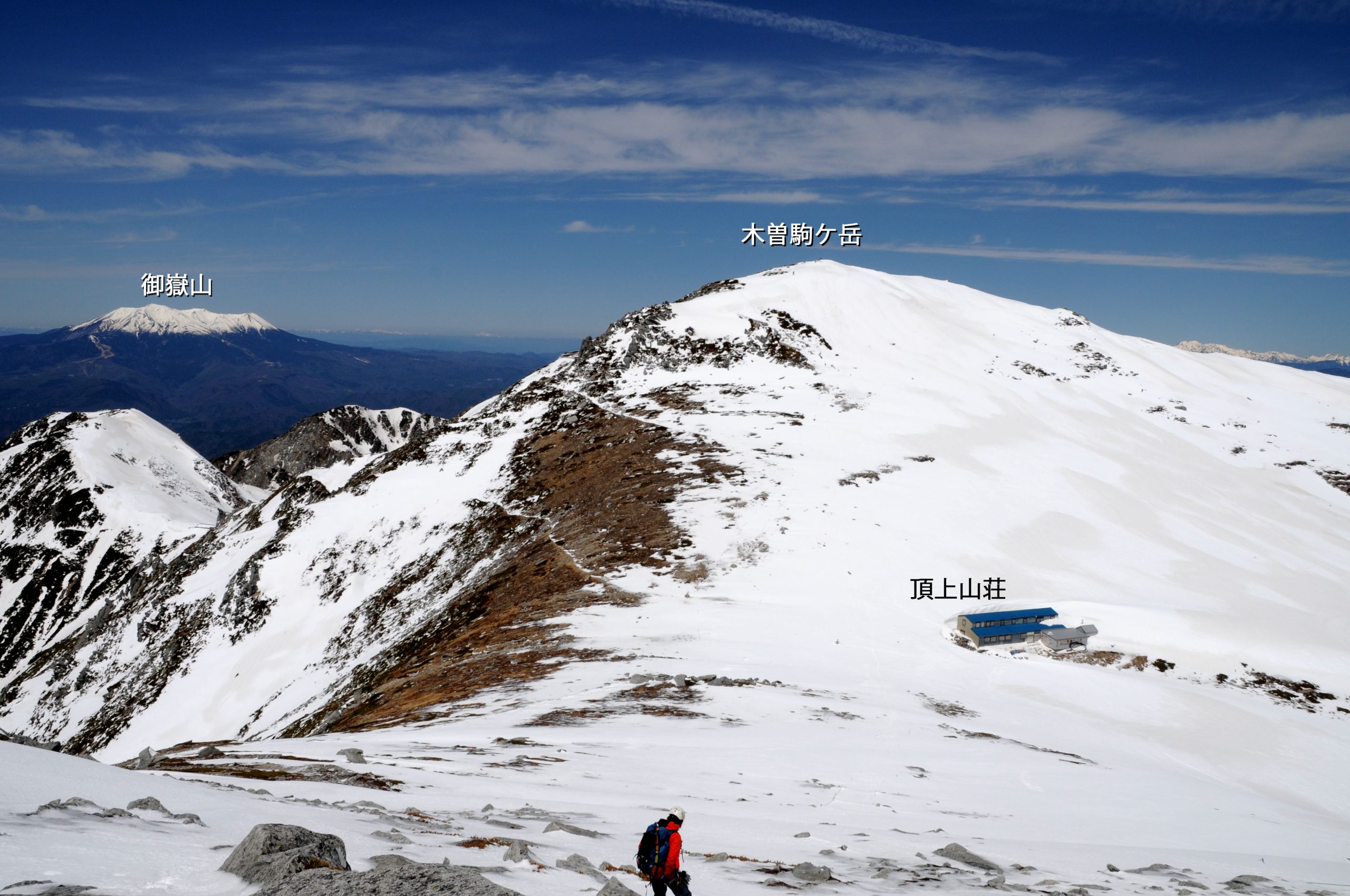 中村浩志国際鳥類研究所は 中央アルプスにライチョウを復活させる クラウドファンディングの募集を行います