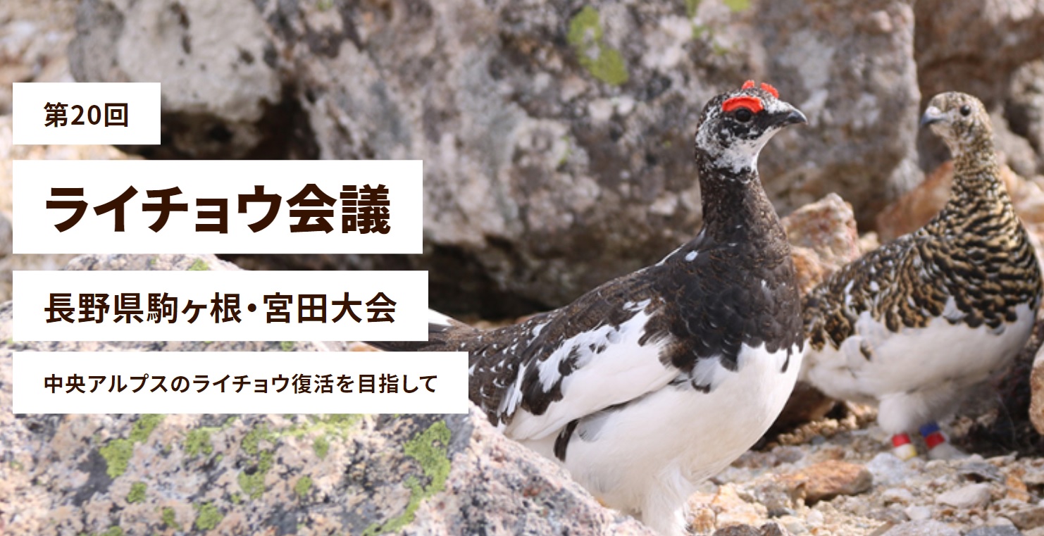 第20回 ライチョウ会議 長野県駒ケ根・宮田大会が開催されました